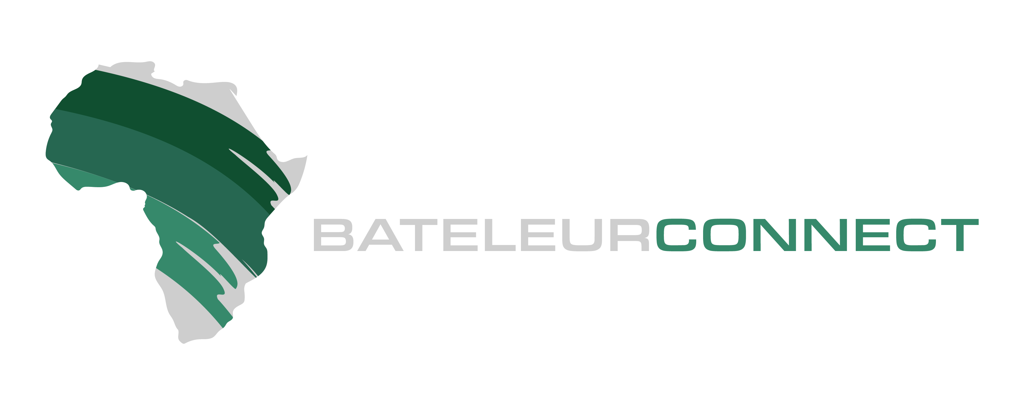 Bateleur Connect Logo-11